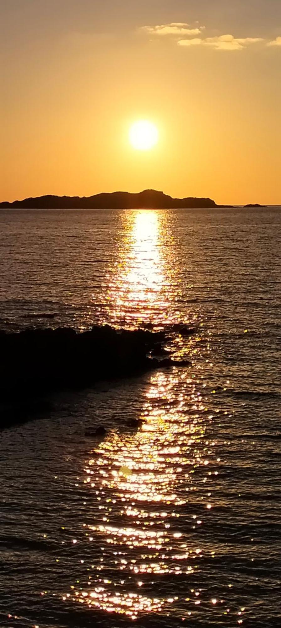 Rocciarossa Lejlighed Isola Rossa Værelse billede